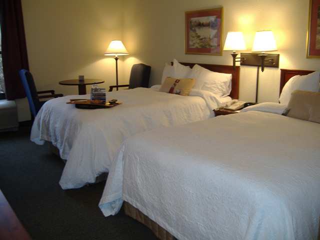 Wyndham Garden Greenville / Spartanburg Airport Стая снимка